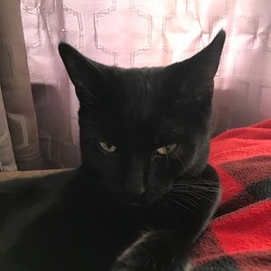 Meet your Posher, Kathy